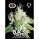Black Cheese Feminised Seeds Big Buddha Seeds