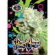 Head Cheese Feminised Seeds Big Buddha Seeds