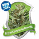 Royal Cheese Auto Feminised Seeds