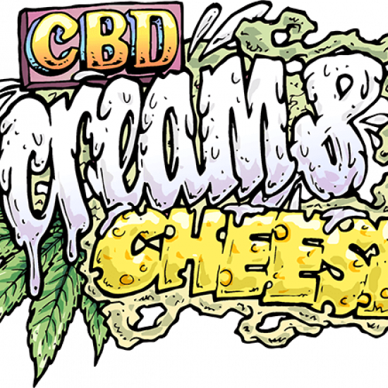 Cream & Cheese CBD 1:1 Feminised by seedsman 