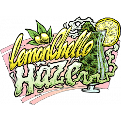 Lemonchello Haze Feminised Seeds Seedsman